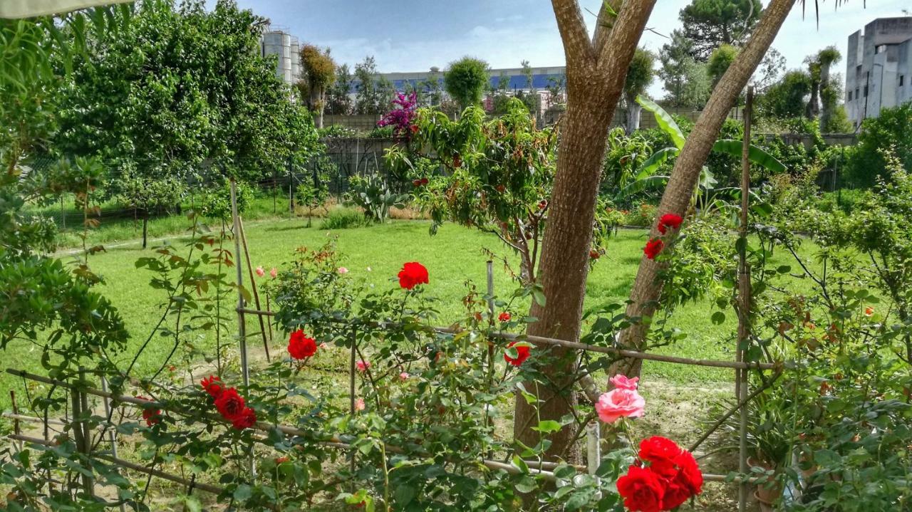 Tifeo Bed & Breakfast